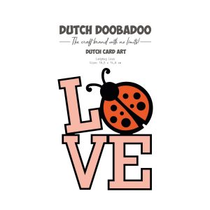 card art ladybug love