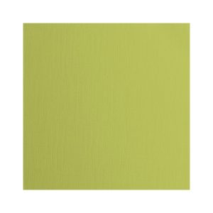 Cardstock textuur pistachio