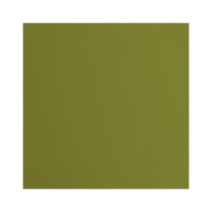 Cardstock textuur olive