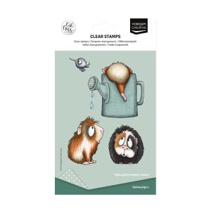 Stempel guinea pigs 4