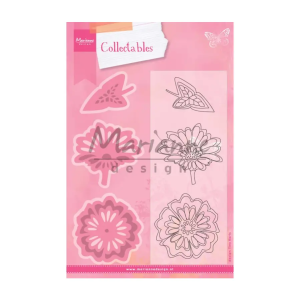 Stansmal flowers and leaf